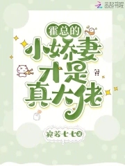 闪婚鲜妻霍少宠妻三十六计