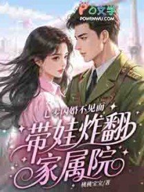 七零闪婚不见面，带娃炸翻家属院